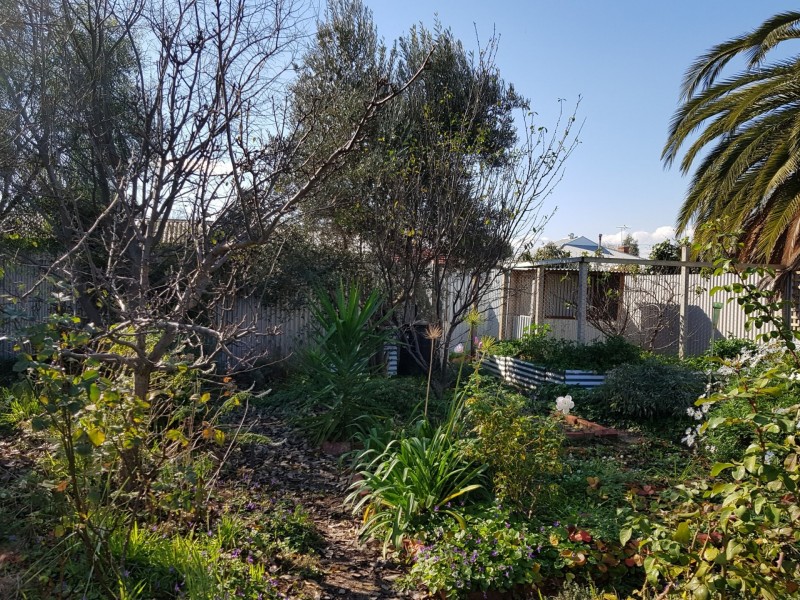 65 Hurtle Street, West Croydon SA 5008