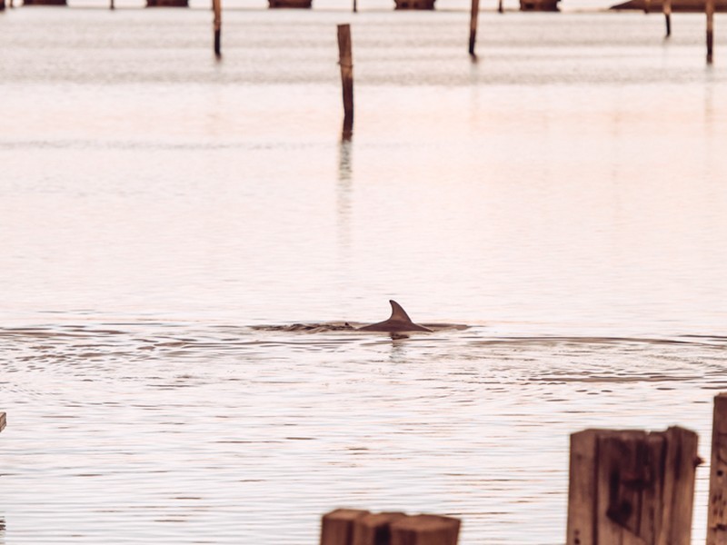 22 Yao Cove, New Port SA 5015