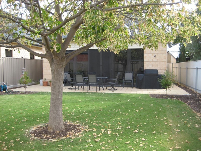 8a Duke Street, Beulah Park SA 5067