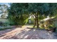 19 McDonnell Avenue, West Hindmarsh SA 5007