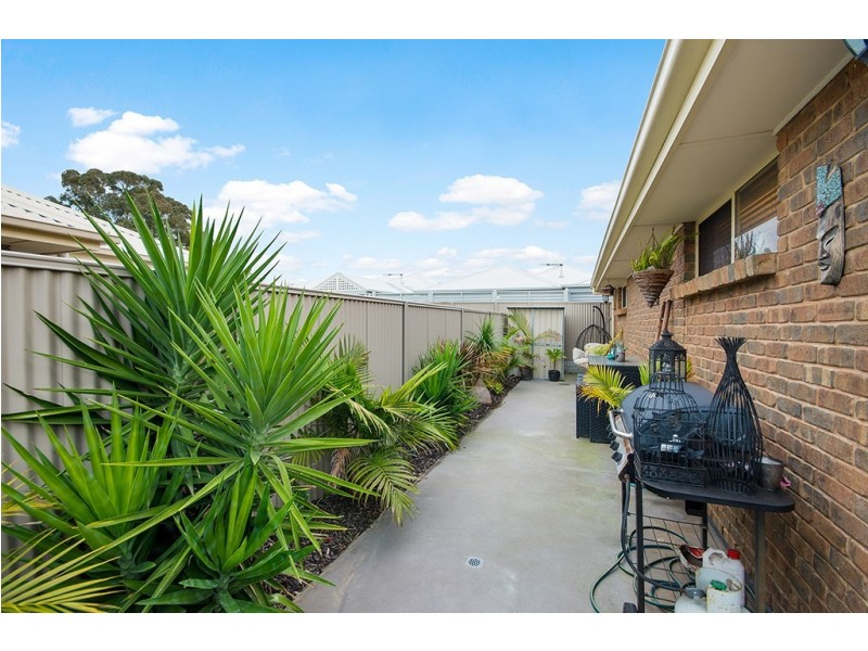 35 The Avenue, Athol Park SA 5012