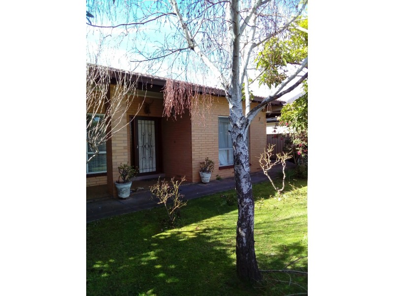 7 Buccleuch Avenue, Findon SA 5023
