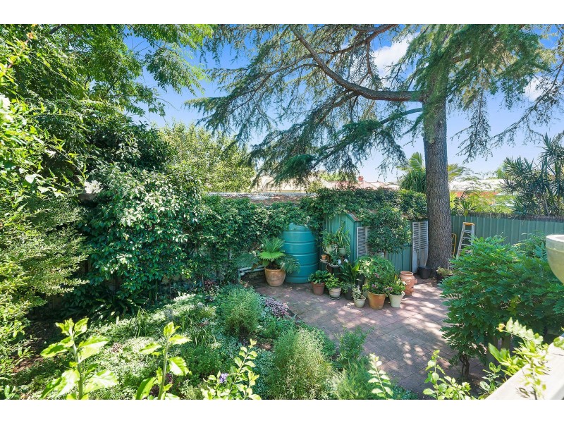 42 Park Terrace, Ovingham SA 5082