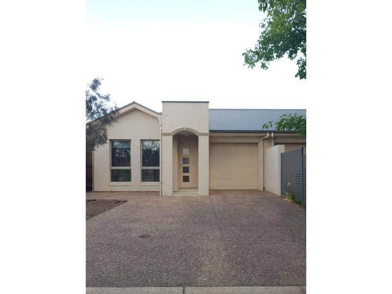 36 Hallett Avenue, Tranmere SA 5073