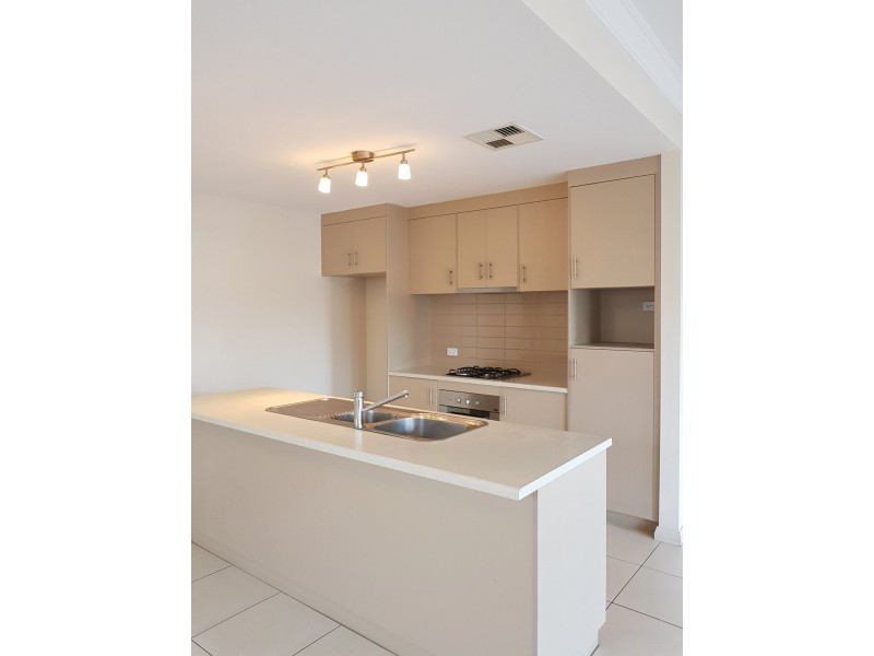 36 Hallett Avenue, Tranmere SA 5073
