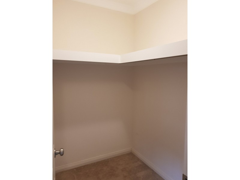36 Hallett Avenue, Tranmere SA 5073