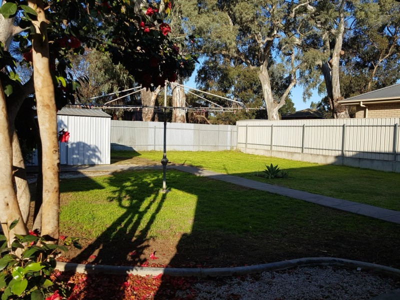 6 Reo Road, Croydon Park SA 5008