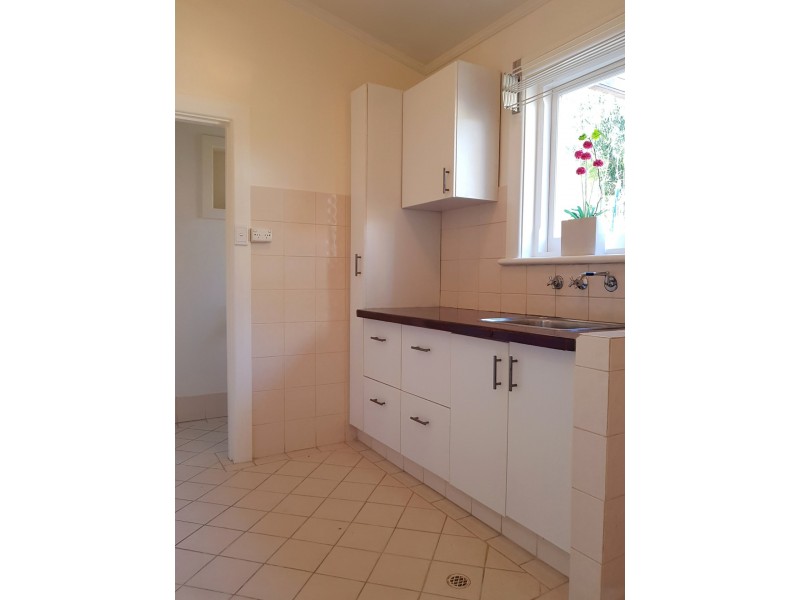 43 Wood Street, Kurralta Park SA 5037