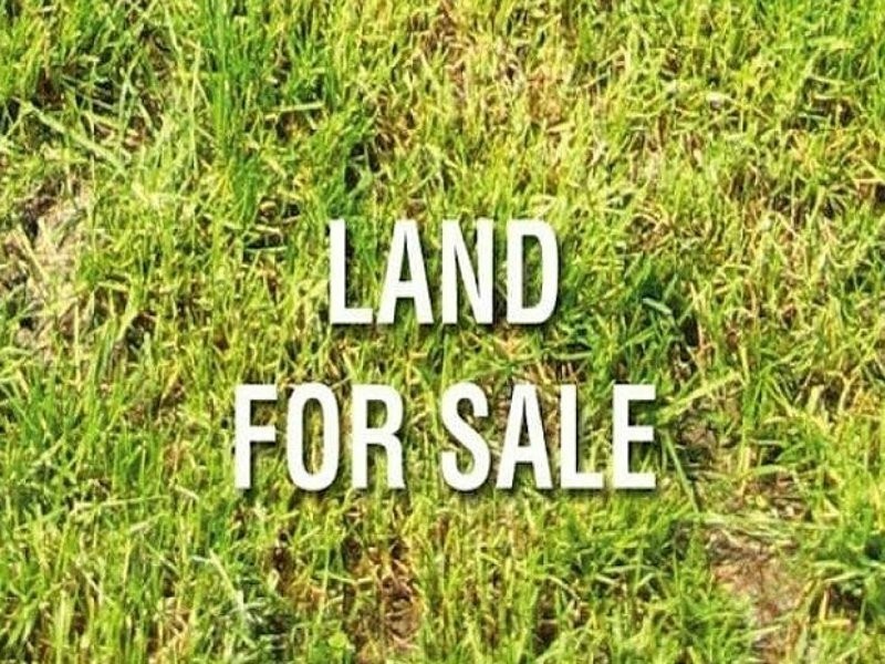 Lot 81(was Bishop Street, Renown Park SA 5008