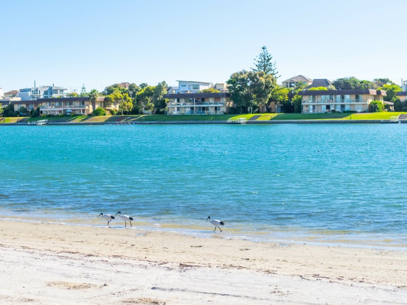 123 Sportsmans Drive, West Lakes SA 5021