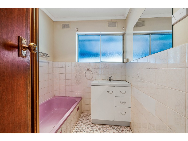 20 Botanic Grove, Campbelltown SA 5074