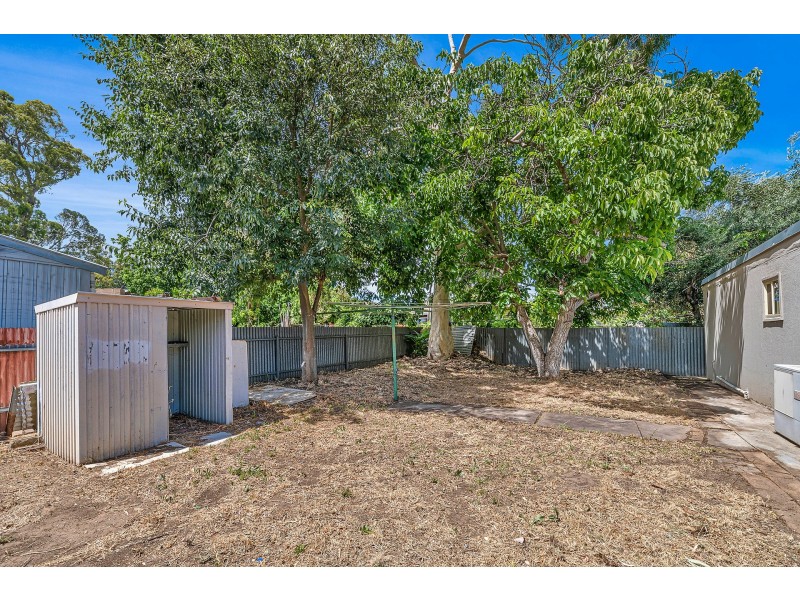20 Botanic Grove, Campbelltown SA 5074