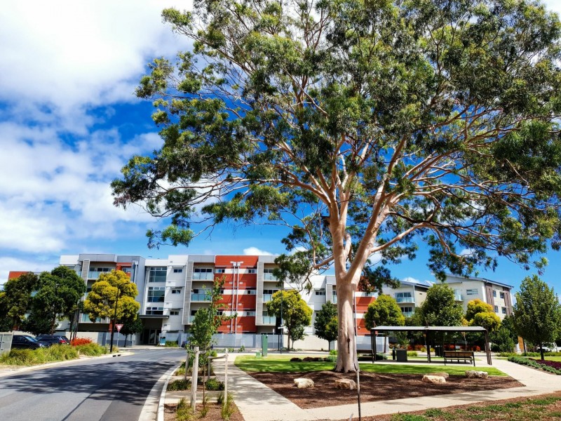 Apartment 27/6 Todville Street, Woodville West SA 5011