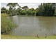 16 Sturt Close, Grange SA 5022