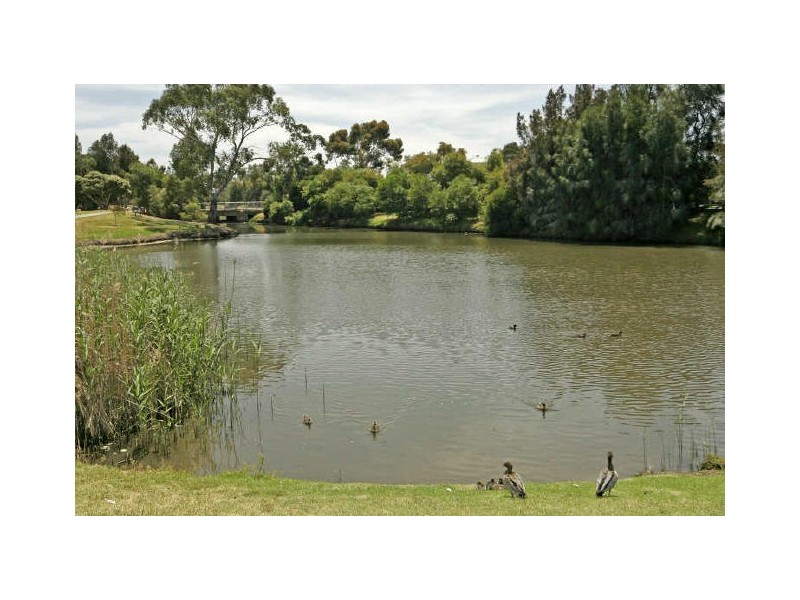 16 Sturt Close, Grange SA 5022