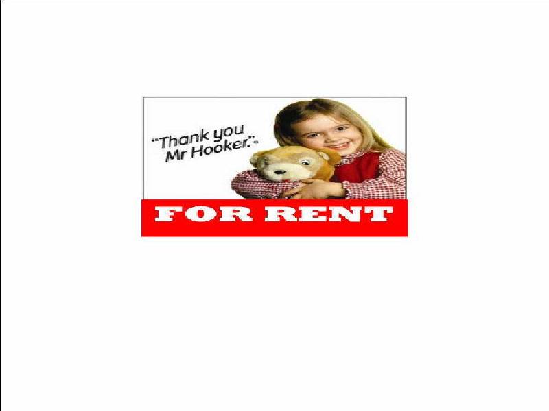 11 McEwin Street, Renown Park SA 5008