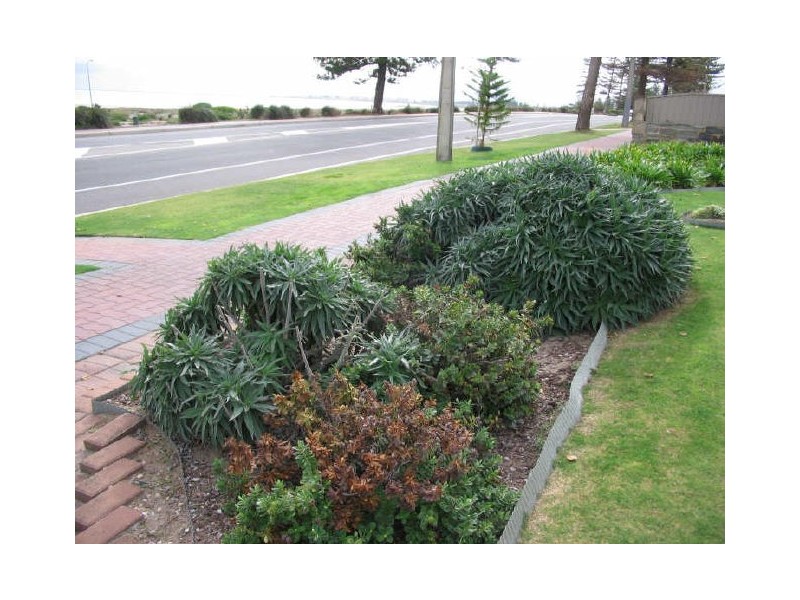 214 Lady Gowrie Drive, Largs Bay SA 5016