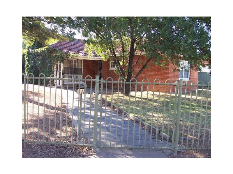 31 Douglas Street, Lockleys SA 5032