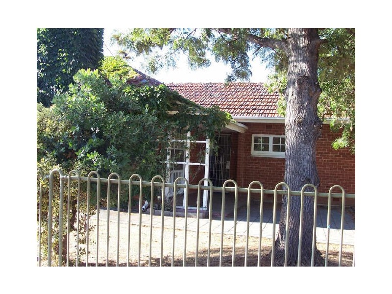 31 Douglas Street, Lockleys SA 5032