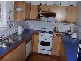 31 Douglas Street, Lockleys SA 5032