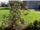8 Drummond Avenue, Findon SA 5023