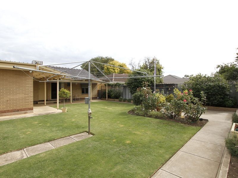 7 Tracey Avenue, Flinders Park SA 5025