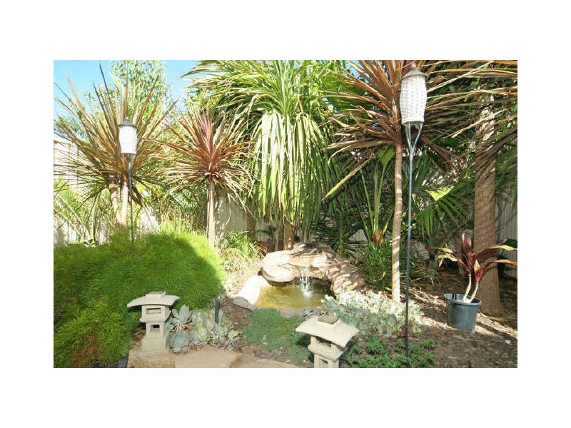 14 Napier Street, Renown Park SA 5008