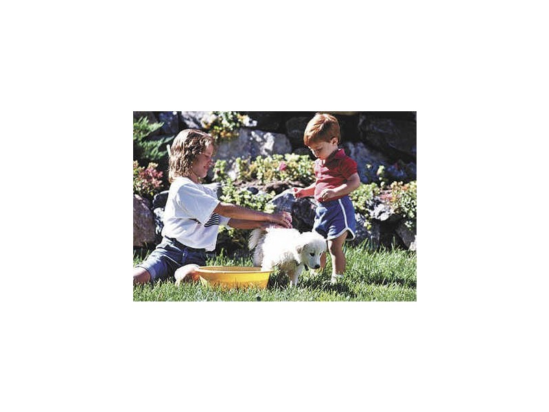 Lot 92 Green Lane, Underdale SA 5032