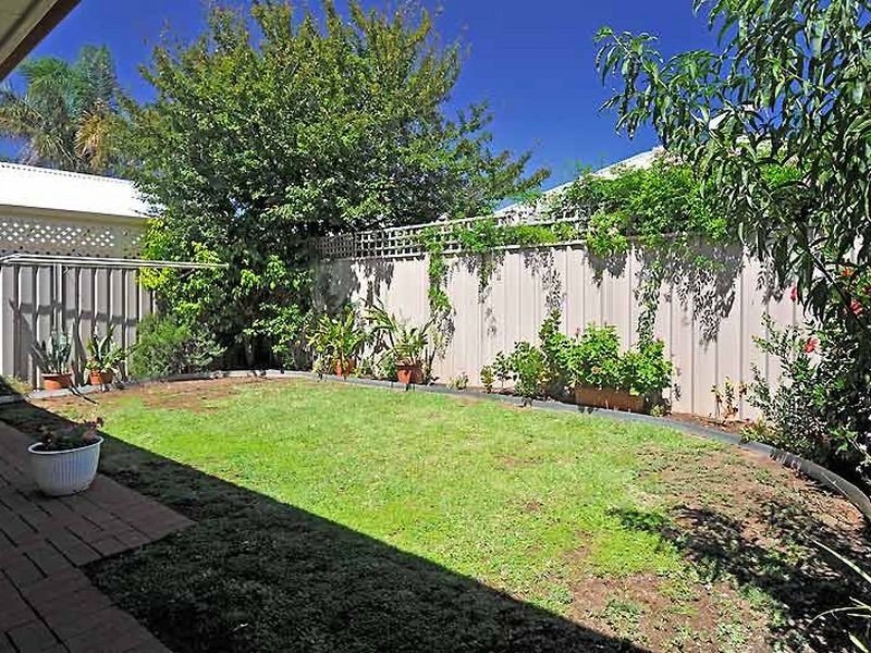 10 Porter Avenue, Renown Park SA 5008
