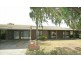 9 Georgia Avenue, Grange SA 5022