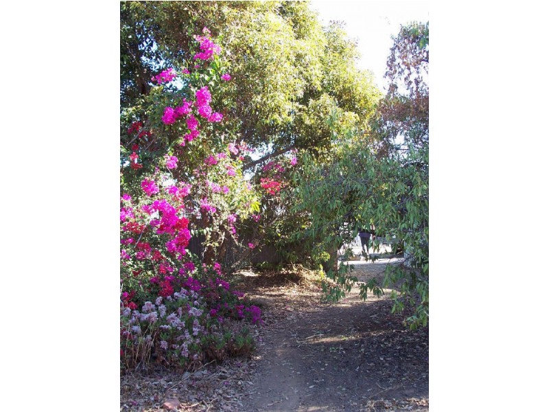 28 Ranelagh Street, Woodville Park SA 5011