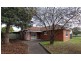 31 Douglas Street, Lockleys SA 5032