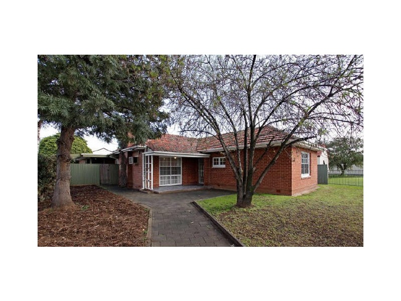 31 Douglas Street, Lockleys SA 5032