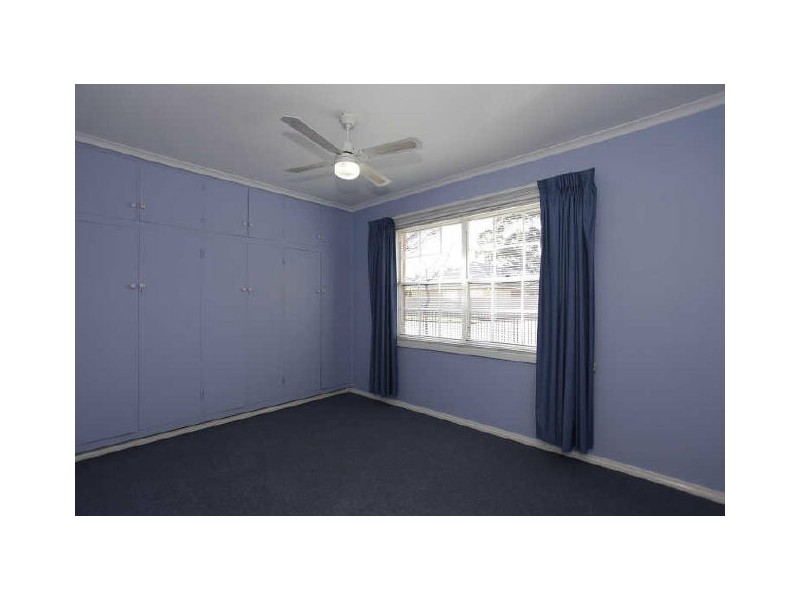 31 Douglas Street, Lockleys SA 5032