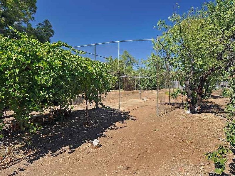 25 Russell Terrace, Woodville SA 5011