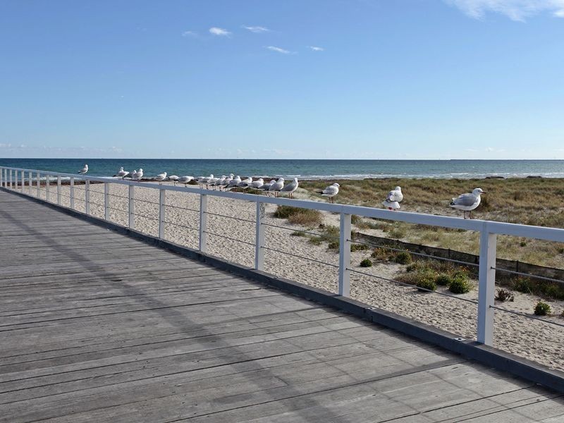 21 Musgrave Street, Largs Bay SA 5016