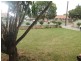 16 Harvey Avenue, Netley SA 5037