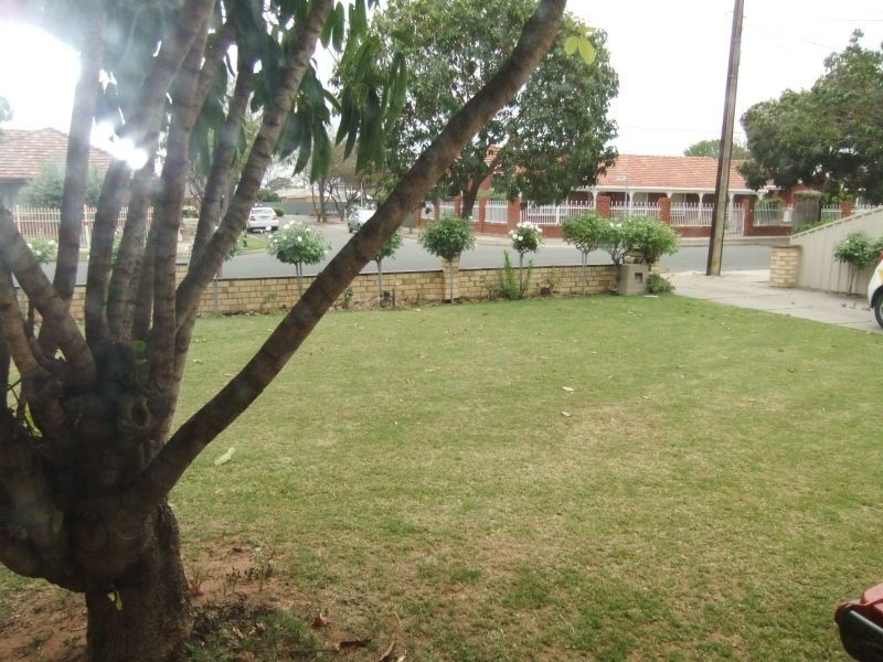 16 Harvey Avenue, Netley SA 5037