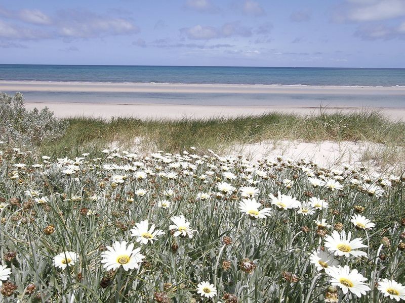 3 Ulah Place, Semaphore Park SA 5019