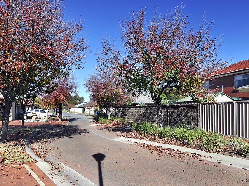 14 Robert Street, Allenby Gardens SA 5009