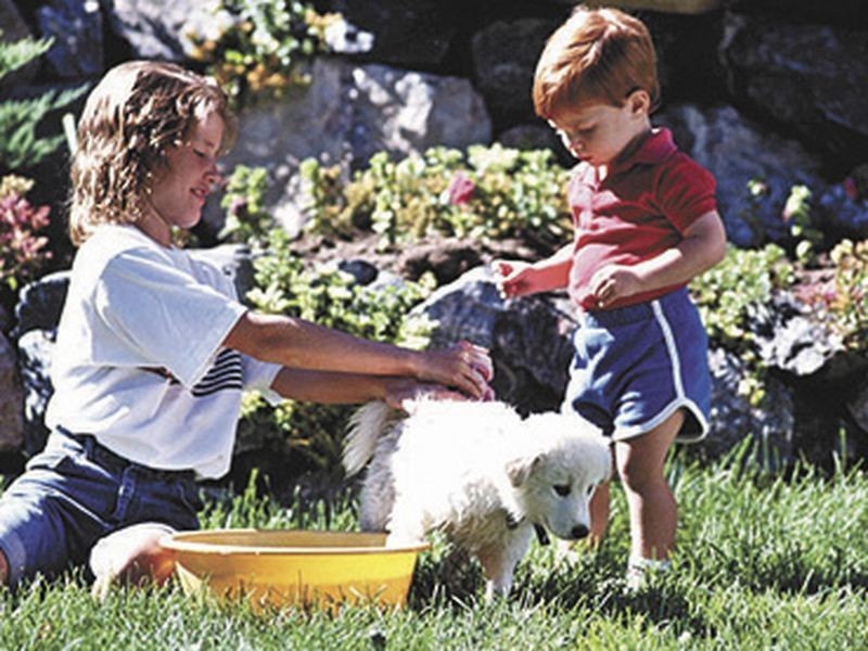 92/ Green Lane, Underdale SA 5032