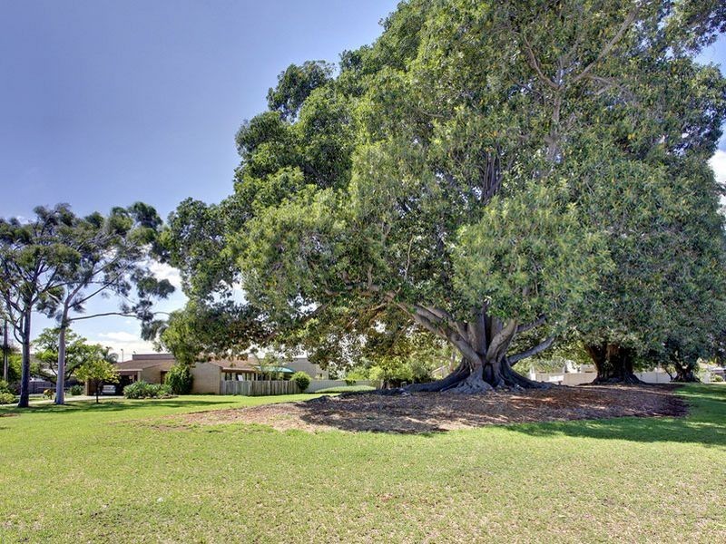 11 Louise Avenue, Fulham SA 5024