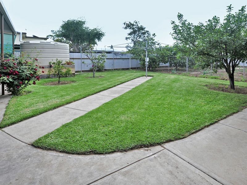 53 Honeyton Street, Seaton SA 5023