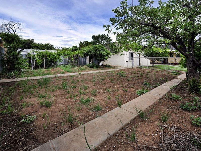 53 Honeyton Street, Seaton SA 5023