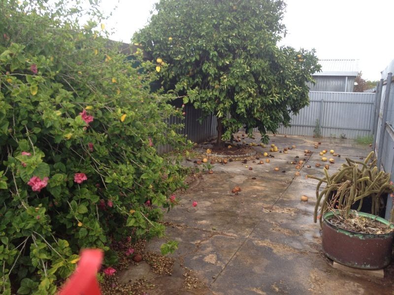 15 Tunbridge Street, Woodville South SA 5011