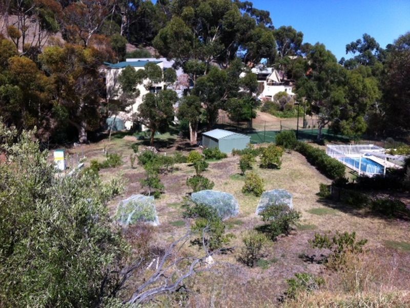 19 Allandale Avenue, Glen Osmond SA 5064