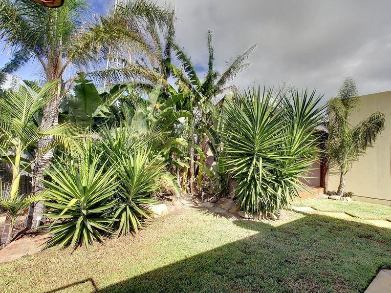 12 Lawrence Street, Albert Park SA 5014