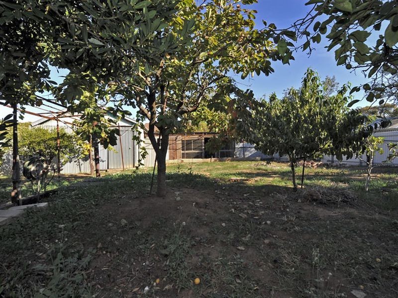 13 Gawler Avenue, Welland SA 5007