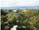 101/3 Noblet Street, Findon SA 5023