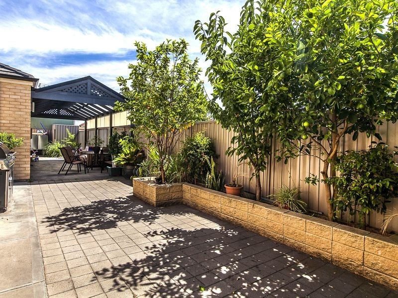 8 Berleit Road, Croydon Park SA 5008